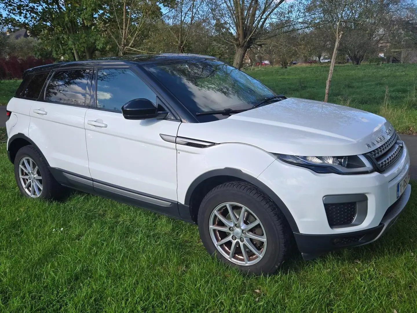 Land Rover Range Rover Evoque Range Rover Evoque TD4 Pure - 1