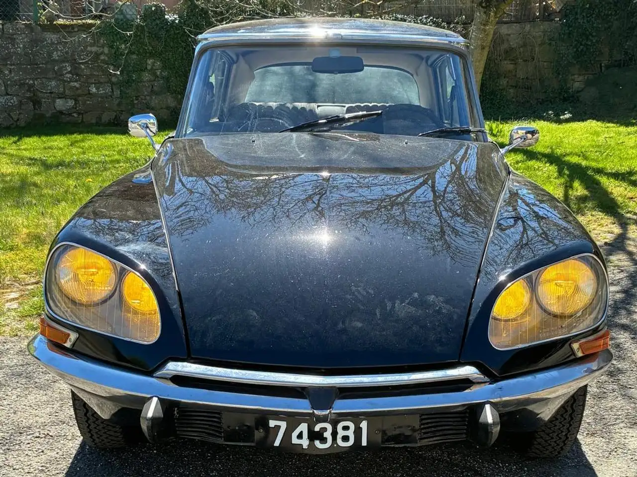 Citroen DS Pallas, foto 4