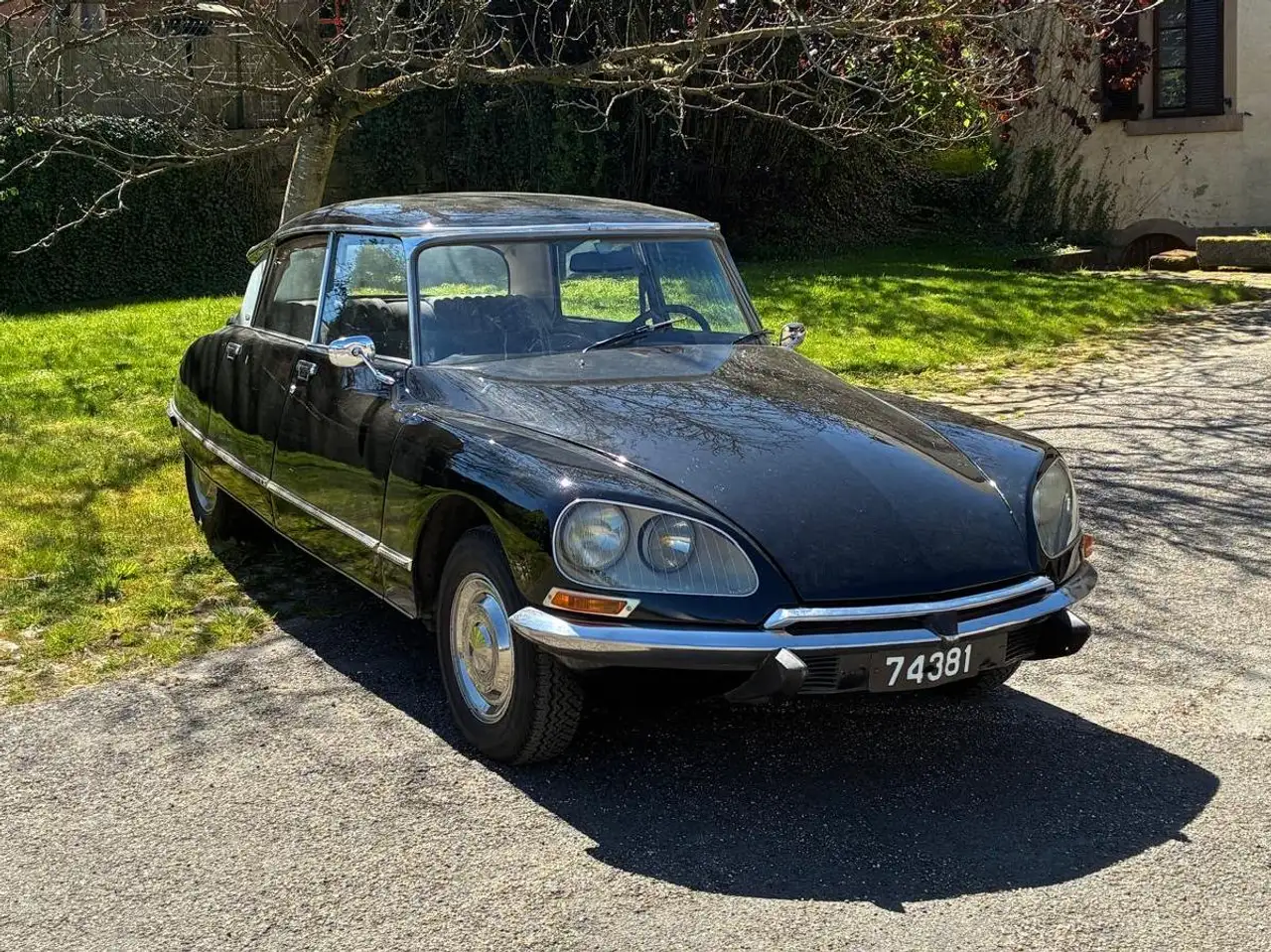 Citroen DS Pallas, foto 2