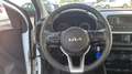 Kia Picanto 1.0 DPi Concept Weiß - thumbnail 14