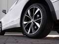 Volkswagen Tiguan 2.0 TSI DSG 4Motion R-Line *Pano*Standhzg.*AHK*... Weiß - thumbnail 5