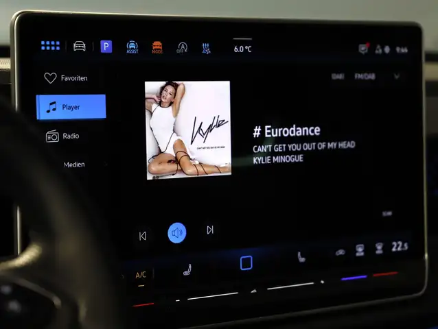 Volkswagen Tiguan R-Line TDI 4MOTION DSG Ansicht 15