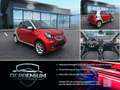 smart forFour Passion,Panoramadach,Navigation Silber - thumbnail 1