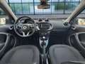 smart forFour Passion,Panoramadach,Navigation Silber - thumbnail 10