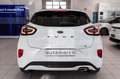 Ford Puma 1.0 ecoboost h ST-Line s&s 125cv Bianco - thumbnail 5