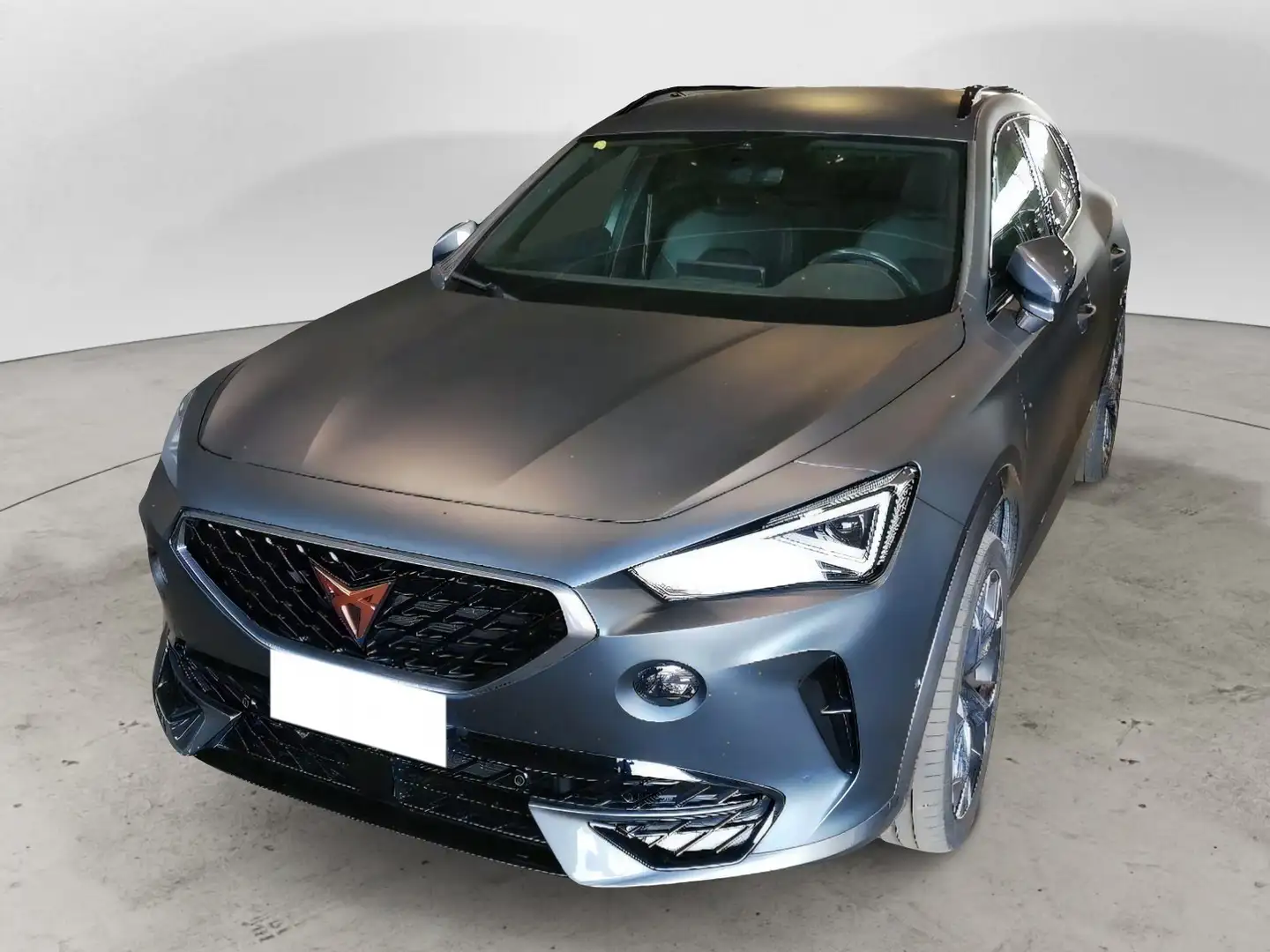CUPRA Formentor Formentor 2.0 TDI 4Drive DSG Gris - 1