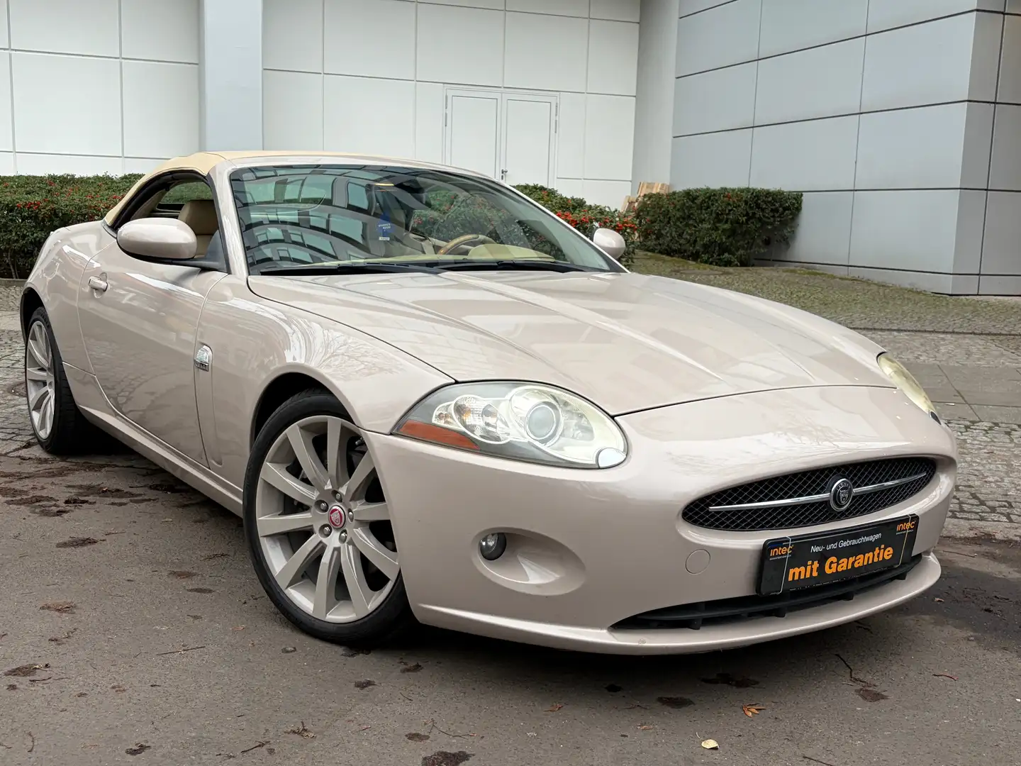 Jaguar XK XK 4.2 Cabriolet Traumzustand Service NEU Beige - 1