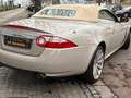 Jaguar XK XK 4.2 Cabriolet Traumzustand Service NEU Beige - thumbnail 17