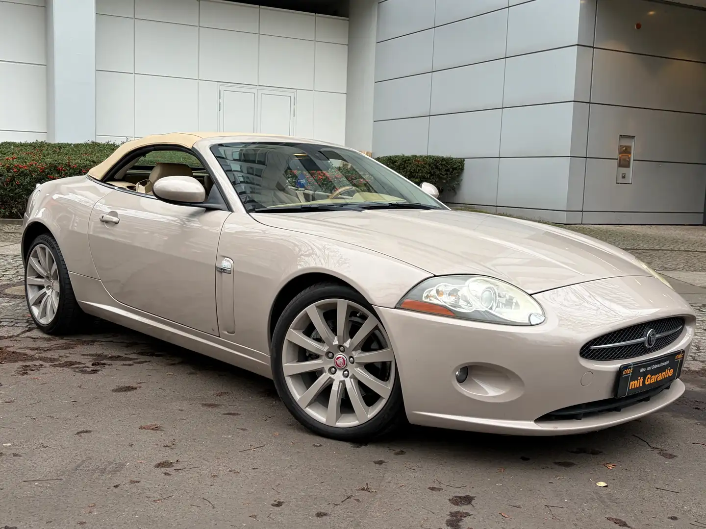 Jaguar XK XK 4.2 Cabriolet Traumzustand Service NEU Beige - 2