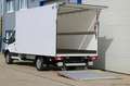 Ford Transit Leichtbaukoffer LBW 2,0L3H1 350 Trend Weiß - thumbnail 5