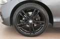 BMW 120 d xDrive 5 Msport RADAR/TAGLIANDI BMW Grau - thumbnail 18