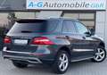 Mercedes-Benz ML 350 CDI BlueTec Sport-Paket AHK 19" - thumbnail 9