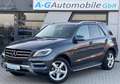 Mercedes-Benz ML 350 CDI BlueTec Sport-Paket AHK 19" - thumbnail 3