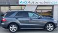 Mercedes-Benz ML 350 CDI BlueTec Sport-Paket AHK 19" - thumbnail 10