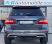 Mercedes-Benz ML 350 CDI BlueTec Sport-Paket AHK 19" - thumbnail 8
