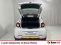 smart forFour 0.9 t youngster 90cv twinamic Blanc - thumbnail 7