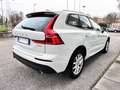 Volvo XC60 XC60 II 2018 2.0 d4 Business geartronic Bianco - thumbnail 9
