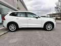 Volvo XC60 XC60 II 2018 2.0 d4 Business geartronic Bianco - thumbnail 6