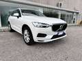 Volvo XC60 XC60 II 2018 2.0 d4 Business geartronic Bianco - thumbnail 13