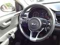 Kia Rio 1,2 Edition Allwetterreifen Sitz-& Lenkradhz Grau - thumbnail 12