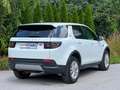 Land Rover Discovery Sport Discovery Sport D150 4WD Aut. S Weiß - thumbnail 3