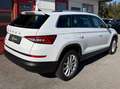 Skoda Kodiaq Style 2.0 TDI DSG 1. Besitz Weiß - thumbnail 7
