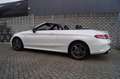 Mercedes-Benz C 43 AMG Cabrio 4MATIC Autom Leder/Alcantara Navi 360 Camer Wit - thumbnail 22