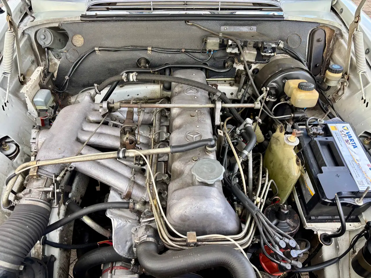 Mercedes-Benz S 250 SE / C W111 Cabriolet Hochkühler, foto 5