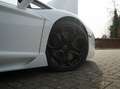 Lamborghini Aventador LP700-4 6.5 V12 (2012) 700 PK | Bianco Isis | Capr Blanco - thumbnail 13