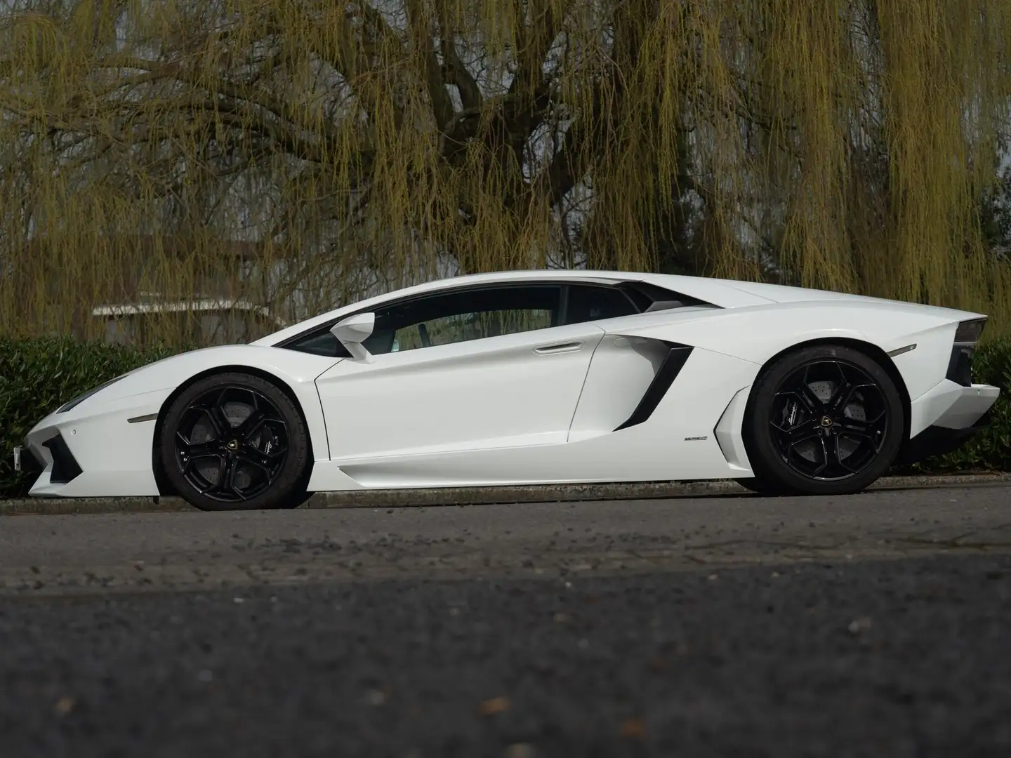 Lamborghini Aventador LP700-4 6.5 V12 (2012) 700 PK | Bianco Isis | Capr Blanco - 2