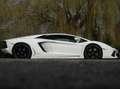 Lamborghini Aventador LP700-4 6.5 V12 (2012) 700 PK | Bianco Isis | Capr Blanco - thumbnail 6
