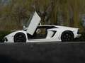 Lamborghini Aventador LP700-4 6.5 V12 (2012) 700 PK | Bianco Isis | Capr Blanco - thumbnail 11