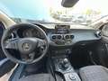 Mercedes-Benz X 250 X -Klasse X 250 d 4Matic Doppelkabine Grün - thumbnail 12