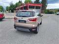 Ford EcoSport 1,0 EcoBoost Titanium Beige - thumbnail 5