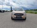 Ford EcoSport 1,0 EcoBoost Titanium Beige - thumbnail 3