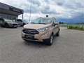 Ford EcoSport 1,0 EcoBoost Titanium Beige - thumbnail 2