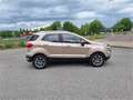 Ford EcoSport 1,0 EcoBoost Titanium Beige - thumbnail 9