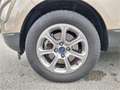 Ford EcoSport 1,0 EcoBoost Titanium Beige - thumbnail 36