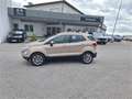 Ford EcoSport 1,0 EcoBoost Titanium Beige - thumbnail 8