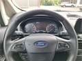 Ford EcoSport 1,0 EcoBoost Titanium Beige - thumbnail 15