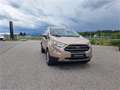 Ford EcoSport 1,0 EcoBoost Titanium Beige - thumbnail 4