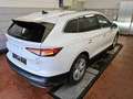 Skoda Enyaq iV 80 sportline convenience plus PanoDach Weiß - thumbnail 3