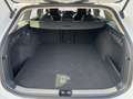 Volkswagen Passat Variant Business 2.0 TDI DSG AHK 360°KAME Blanc - thumbnail 16