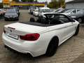 BMW 430 i Cabrio M Sport Shadow *H&K*AIRSCARRF*CARPL Alb - thumbnail 7