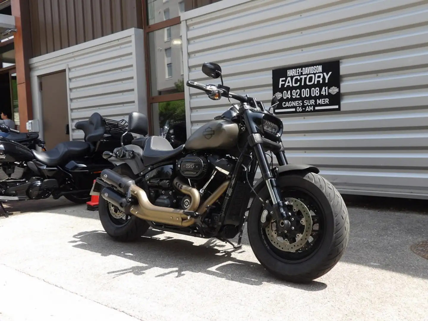 Harley-Davidson Softail Gris - 2