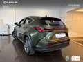 Lexus NX 450h+ Premium+ 4WD Verde - thumbnail 15