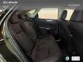 Lexus NX 450h+ Premium+ 4WD Verde - thumbnail 7