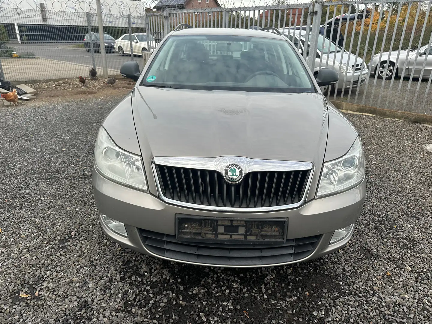 Skoda Octavia Fun Gris - 2