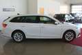Skoda Octavia Kombi Style 2.0 TDI DSG Head-up/AHK/NAVI Weiß - thumbnail 10