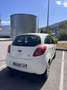 Ford Ka/Ka+ Ka 1.2 69 S - thumbnail 2